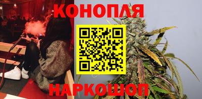 крисы Кандалакша