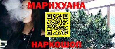 крисы Кандалакша