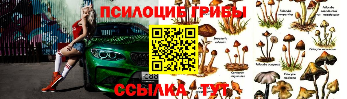 Саянск  Псилоцибиновые грибы мицелий  наркотики  Вход с VPN 